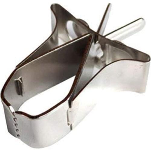 3 Pcs Birds Food Holder Pet Parrot Feeding Fruit Vegtable Clip Feeder Device Pin