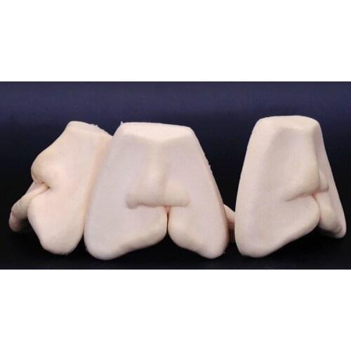 Cleft lip suture model lagentomum suture Infant cleft lip repair practice Assessment model of oral surgery