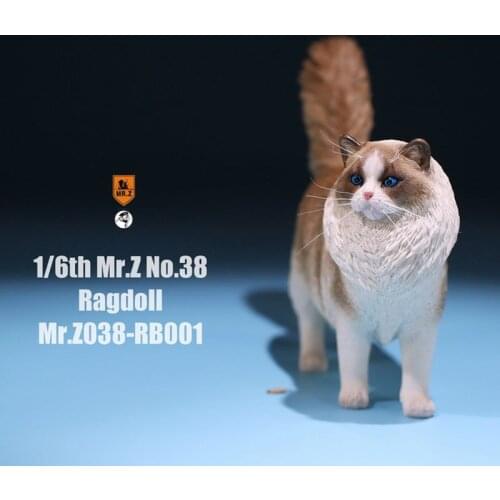 Mr.Z 038 1/6 Scale Ragdoll pet cat simulation animal model toy cute super cute ornaments For 12" Action Figure Scene Decoration