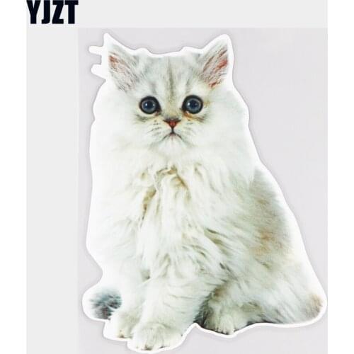 YJZT 14.5×19.5CM Beautiful White Persian Cat Creative Rear Windshield Decal Decoration Car Sticker 21A-0575