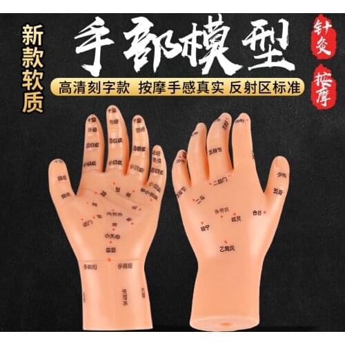 Children Massage hand Model Reflex Zone Meridian Acupoint High Definition Hand Acupuncture points Model
