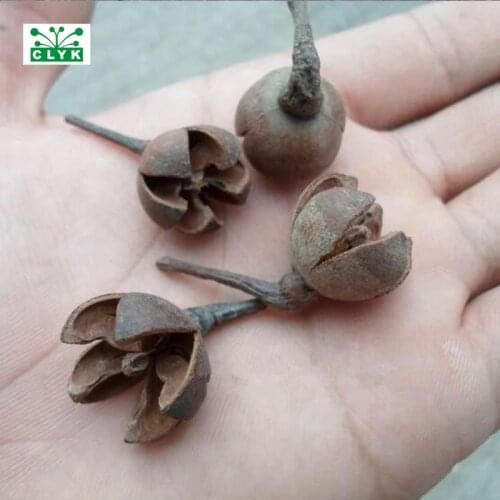 Natural dried flowers Nutshell DIY Handmade candy box Christmas Wedding decoration/ photography accessories decoration 10pcs
