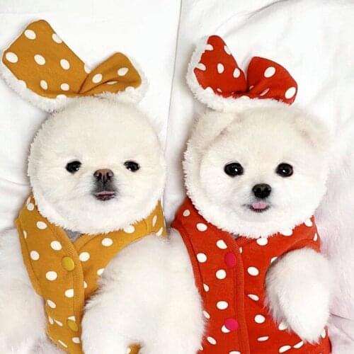Pet clothes dog clothing winter cotton vest warm clothes polka dot two legs cotton vest