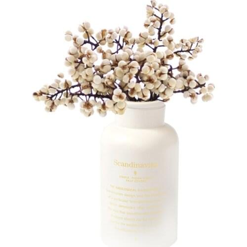 Mini Ginkgo 100G Natural Dried Fruit Dried Mushroom Grass Flower for Party Home Decor No Vase