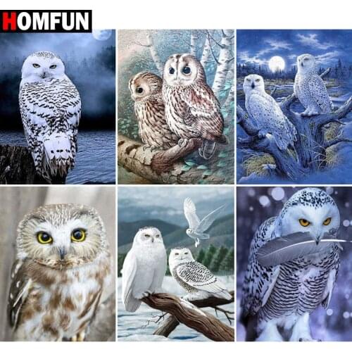 HOMFUN Rhinestone Painting Crystal Decor Diy Diamond Painting "Owl landscape" 3D Cross Stitch Pattern Diamond Embroidery
