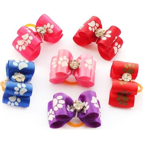 Armi Clothes And Footwear For Dogs