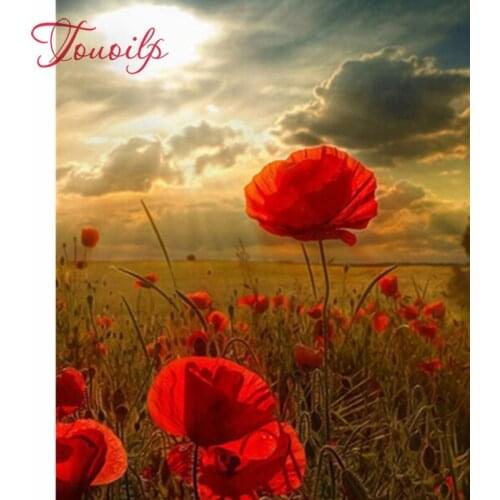 Touoilp Full Square Drill 5D DIY Diamond Painting Red poppy flowers 3D Embroidery beaded Cross Stitch Mosaic painting Home Decor