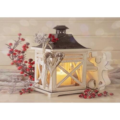 Christmas Holly Lamp Elk Flare Photo Backdrop Vinyl Cloth Photoshoot Backgrounds for Children Baby Photography Props Photophone