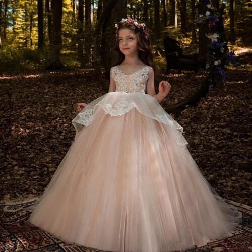Flower Girl Dresses V-neck Sheer Back Ball Gown Lace Appliques Sleeveless Girls Holy First Communion Gowns