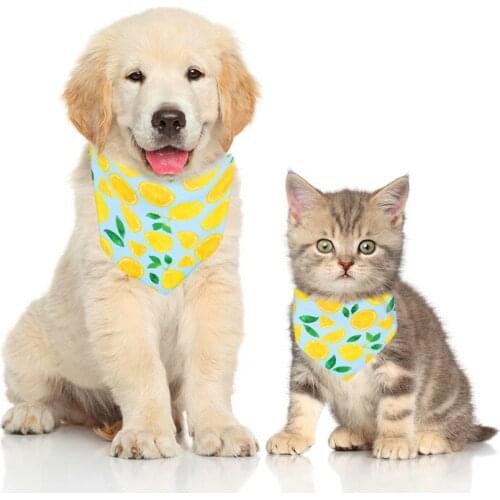 Pet Scarf Cotton Fruit Print Adjustable Triangle Slobber Towel Washable Donut Lemon Outdoor Dog Cat Bib Neckerchief Scarf Collar