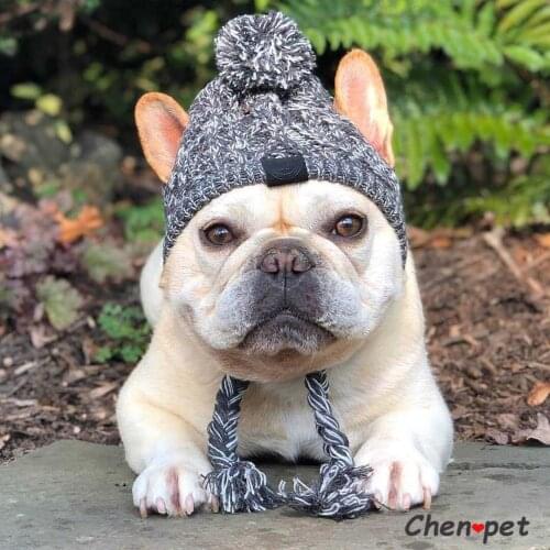 Winter Warm Windproof Outdoor Pet Hats for Dogs Puppy Pet Hats Woolen Dog Accessories for Small Medium Dogs Hat French Bulldog