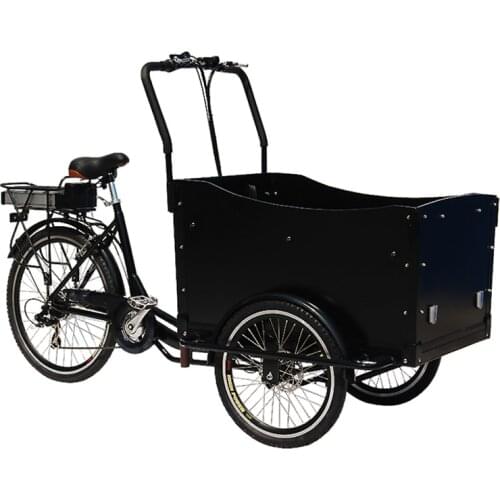Factory price cargo bike electric cargo tricycle family picnic cart for sale