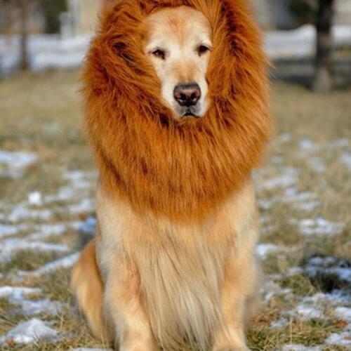 Halloween Pets Cosplay Costumes Lion Headband for Cat Dog Clothing Props for Carnival Party Funny Dress Pet Lion Clothes