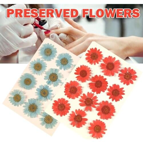 12pcs Pressed Flowers Dried Flowers Artificial Daisys Flowers For Nail Art Jewelry Making Embossing Epoxy Resin Home GRSA889