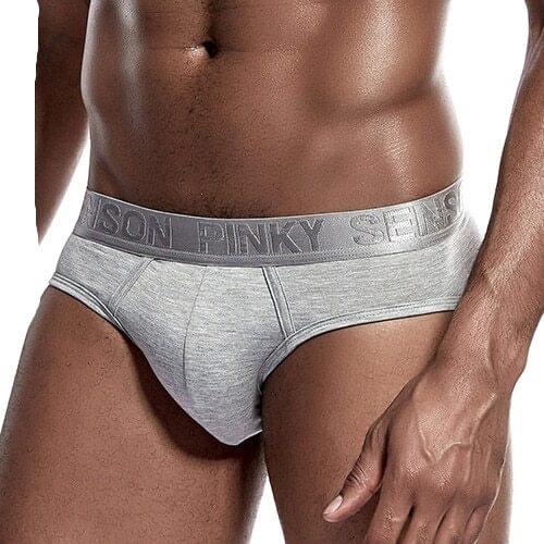 Men Fashion Sexy Gay Classic Mens Briefs New Male Sleepwear Panties Low Waist Underpants Modal Underwears Briefs