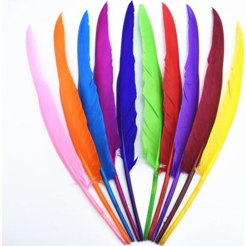 20Pcs/Lot Turkey Feathers Duck Pointer Wing Colored Feathers for Decoration Needlework Crafts White Feathers Feather Decoration