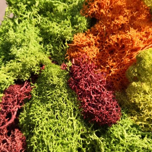30g Lichen Moss Cluster for Bushes Model Trees Foliage Scale Model Building Material Miniature Tree Model Diy Layout Dioramas