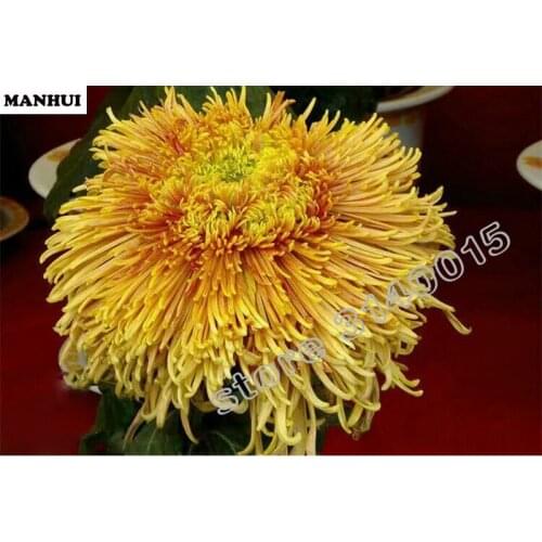 5d diamond painting chrysanthemum picture diamond embroidery flowers 5d mosaic diamond painting embroidery BEC038