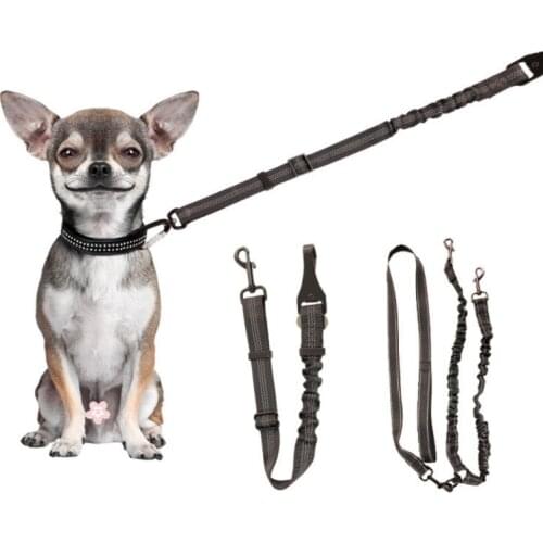 Pet Cat Dog Nylon Tow Rope Car Seat Belt Double-headed Elastic One Drag Two Elastic Traction Rope Pet Cat Dog Outdoor Supplies