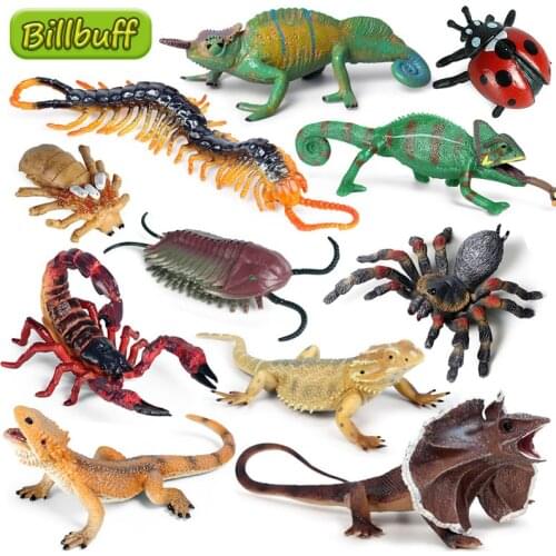 Simulation Reptile Animal Lizard Scorpion Centipede Spider Model Figures Collection Cognition Educational Toys for Children Gift