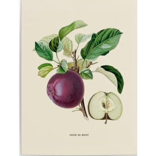Home Decor Canvas Fruit Leaf Apple Purple Printed Poster Painting Modern Cool Wall Art HD Pictures Living Room Modular No Frame
