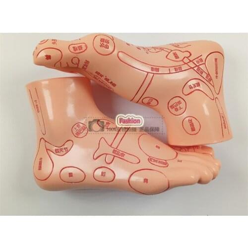 Fashionable Plastic Acupoint Foot Mannequin Foot Model Best Quality Hot Sale