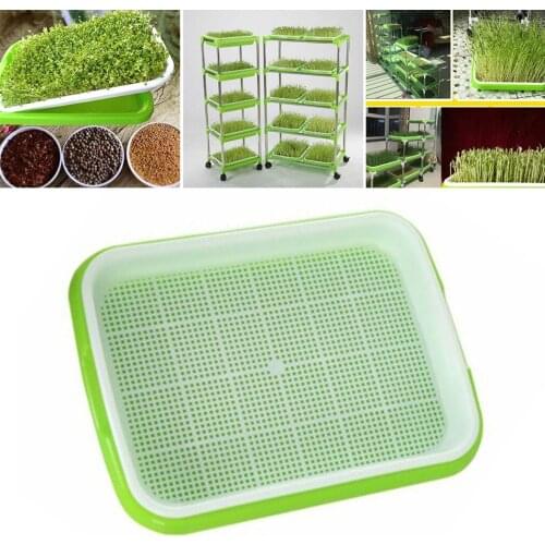 Soil-Free Sprout Tray Planting Basin Big Capacity Germination Grass Box Grow Flower Plant Home Garden Nursery Pots