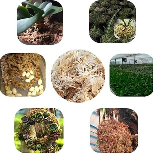 Hot 6L Sphagnum Moss Garden Supplies Moss Sphagnum Moisturizing Nutrition Organic Fertilizer For Orchid Phalaenopsis