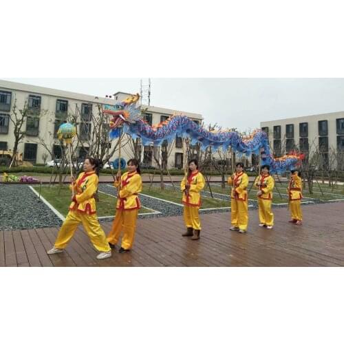New 7m 6 student Size 5 silk print fabric Chinese DRAGON DANCE Flower Dragon Chinese Folk Festival Halloween Mascot Costume