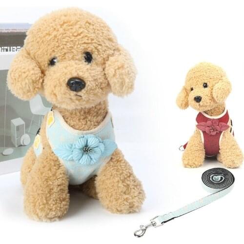 Soft Mesh Pet Dog Cat Harness Leash Set Vest Walking Lead Leash for Puppy Comfot Harness for Small Medium Dog Arnes Perro