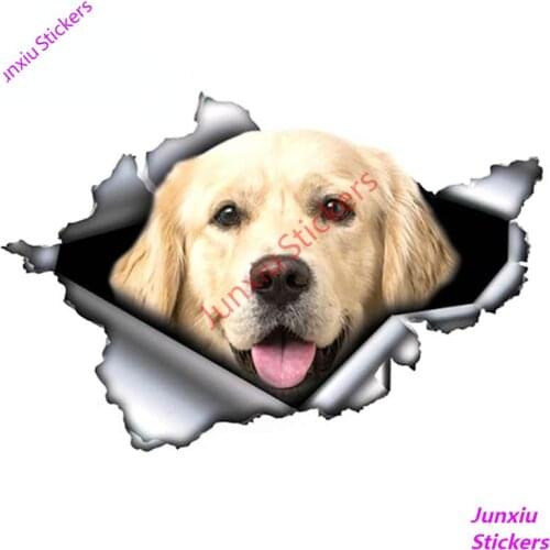 Bright Golden Retriever Car Sticker Torn Metal Decal Bumper Camper Reflective Stickers Waterproof Car Styling Decor PVC13x9cm