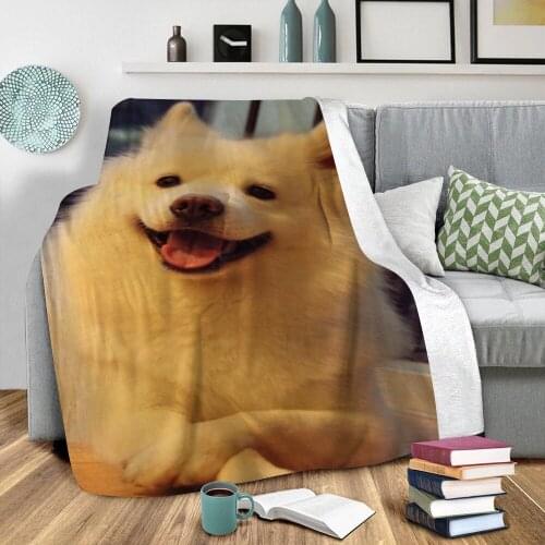 Funny Dog 3D Printed Plush Fleece Blanket Adult Home Office Washable Casual Kids Sherpa Blanket Drop Shipping 01