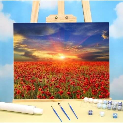 Poppy Flower Coloring By Numbers Painting Complete Kit Oil Paints 50*70 Oil Painting Handmade For Kids For Drawing Art