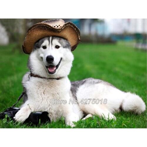 Diy 5d diamond painting rhinestones full square drill Huskies Dog Pet Animal embroidery cross stitch mosaic Crafts YG417