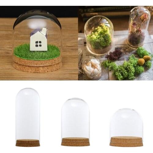 Clear Glass Display Dome Cover Cloche Bell Jar Succulent Terrariums with Wood Cork for Home Office Table Decor DIY