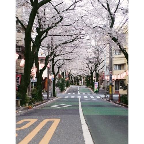 Doll accessories 1/12 1/3 1/4 1/6 BJD doll blyth Scenery Photography Backdrop/Background Photo props Christmas gifts toys