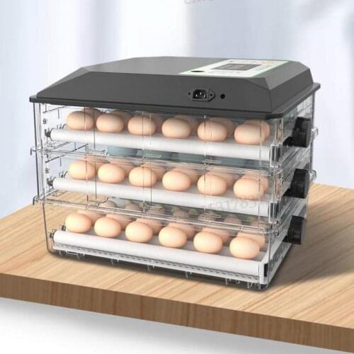 Chick, Goose, Parrot, Egg Incubator, Egg Incubator, Small Household Water Bed Incubator, Full Automatic Intelligence