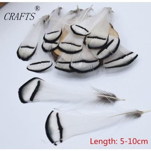 Hot! 100 pc / lot quality natural lady amherst pheasant feathers, 2-3"/ 5-8cm DIY jewelry decoration