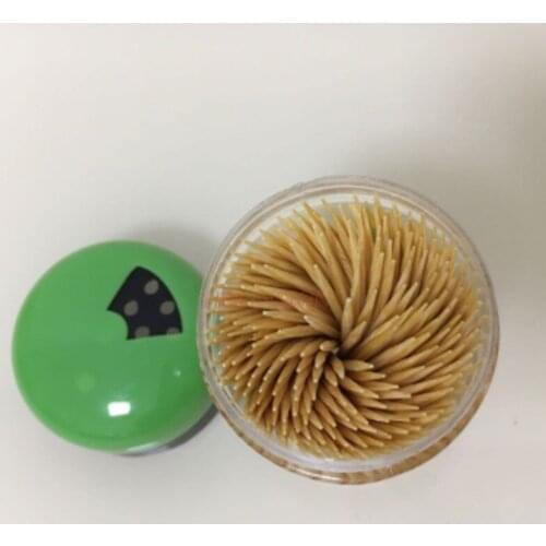 Tooth Stick Bottled Disposable Toothpick Bamboo Toothpick 250 Boxed Double Head Home Hotel Restaurant Tube Sale