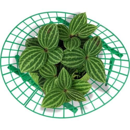 5pcs/set Fruit Support Plant Flower Climbing Vine Pillar Plant Tray Rack Plastic Strawberry Growing Support Stand