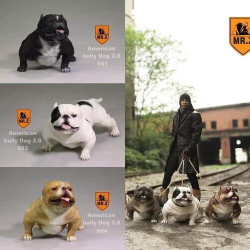 MRZ055 1/6 Figure Scene Accessories American Bully Dog 2.0 Pitbull Dog Animal Figure Model for 12 inches Action Figure