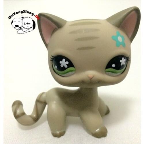 CWM022 Pet Shop Animal Gray Short Hair Cat Flower Eyes Rares doll action Figure kitten