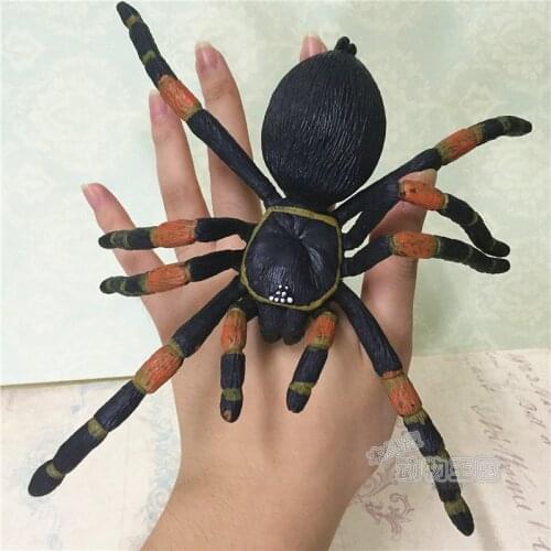 Pvc figure model toy Simulation realistic animal model insect model toy teach big spider giant spider spider tarantula