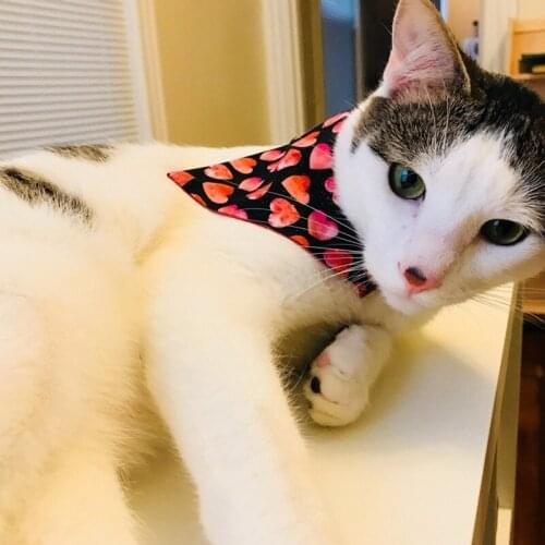 New Fashion Pet Bandanas Decorative Collar For Holiday Party Dog Scarf Neckerchief Washable Valentines Day Bibs