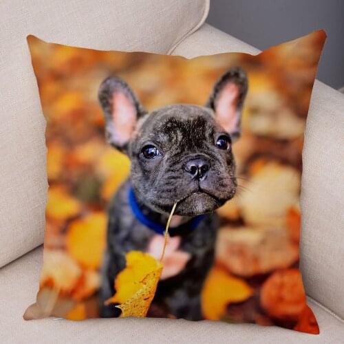 Cartoon Mini French Bulldog Pillow Case for Home Sofa Car Decor Cute Pet Animal Dog Cushion Cover Print Polyester Pillowcase