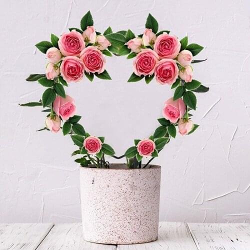 Black Metal Garden Trellis For Climbing Plant Flower Rose Rattan Heart And Round Shape Plant Trellis Support Metal Flower Holder