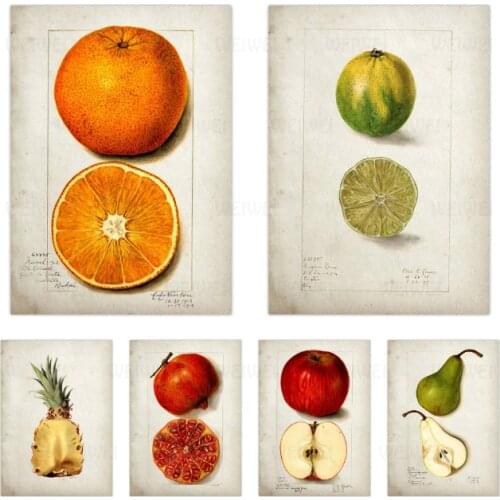 Food Poster And Fruit Vegetable Canvas Painting Wall Art Picture Kitchen Dining Room Restaurant Decor Picture Canvas Painting