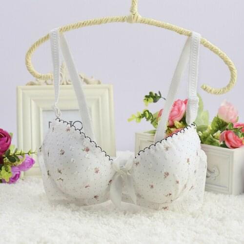 Sexy Bras For Women Big Size Thick Padded Bras For Women Super Push Up Bra Silicone Underwear Gather Double Push Up Bras Gather