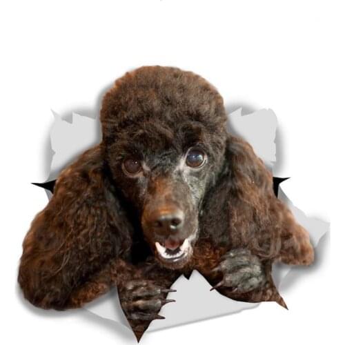 A0539# 13cm/17cm Removable Decal Happy Black Poodle Dogs Car Sticker Waterproof Accessories on Bumper Rear Window Laptop