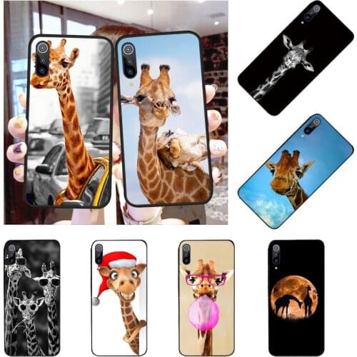 PENGHUWAN Cute animal giraffe TPU Soft Silicone Phone Case Cover for Redmi Note 8 8A 7 6 6A 5 5A 4 4X 4A Go Pro Plus Prime